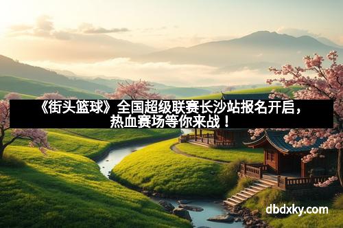 《街头篮球》全国超级联赛长沙站报名开启，热血赛场等你来战！